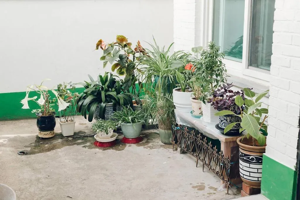 Hongdae Luxury: Family-Friendly Private House with Open Balcony Villa Seoul South Korea
