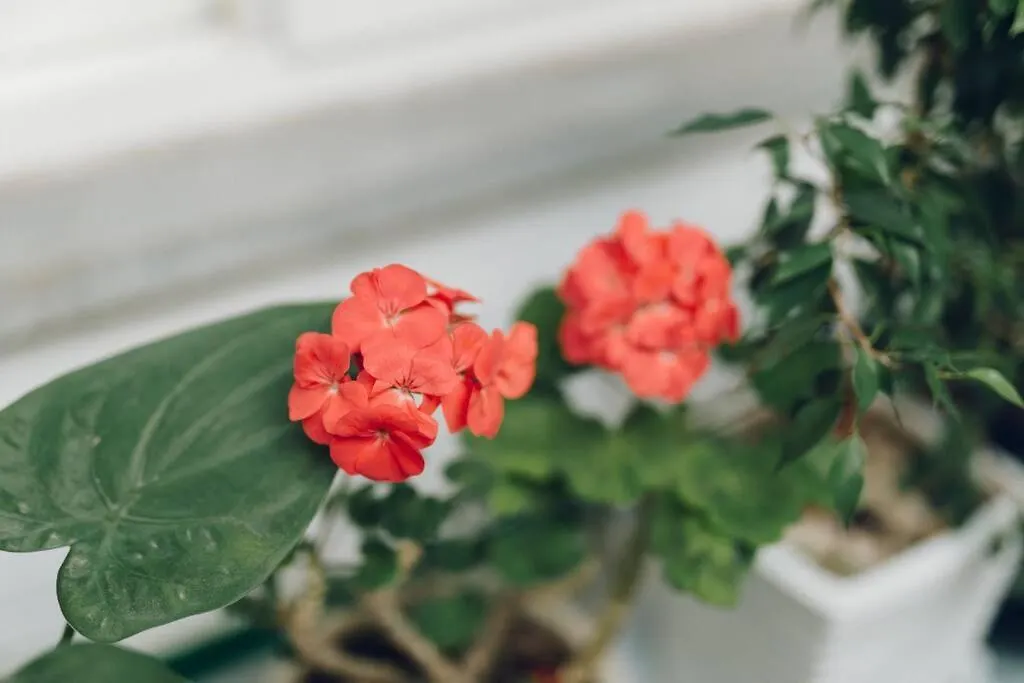 Hongdae Luxury: Family-Friendly Private House with Open Balcony Villa Seoul