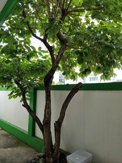 Hongdae Luxury: Family-Friendly Private House with Open Balcony Villa Seoul